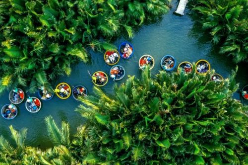 VÉ RỪNG DỪA BẢY MẪU 2025